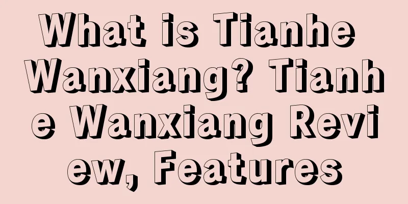 What is Tianhe Wanxiang? Tianhe Wanxiang Review, Features