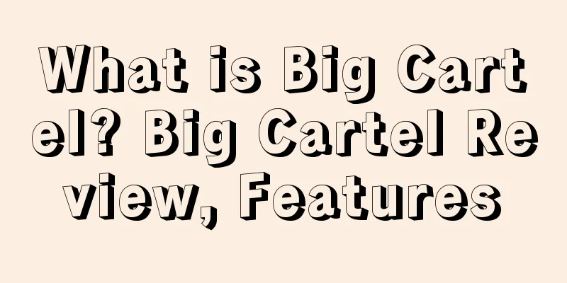 What is Big Cartel? Big Cartel Review, Features