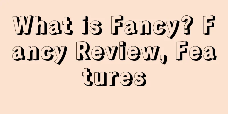 What is Fancy? Fancy Review, Features