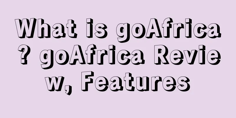 What is goAfrica? goAfrica Review, Features