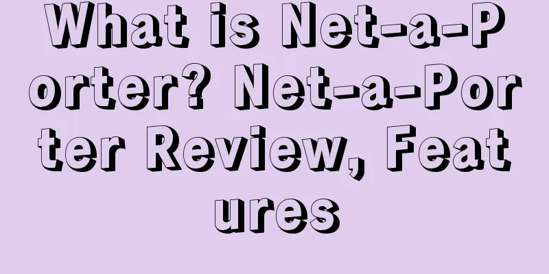 What is Net-a-Porter? Net-a-Porter Review, Features