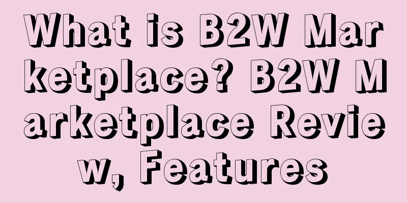 What is B2W Marketplace? B2W Marketplace Review, Features
