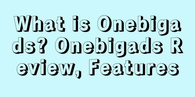 What is Onebigads? Onebigads Review, Features