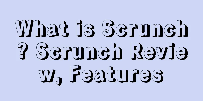 What is Scrunch? Scrunch Review, Features