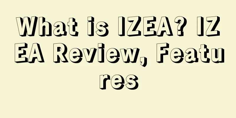 What is IZEA? IZEA Review, Features