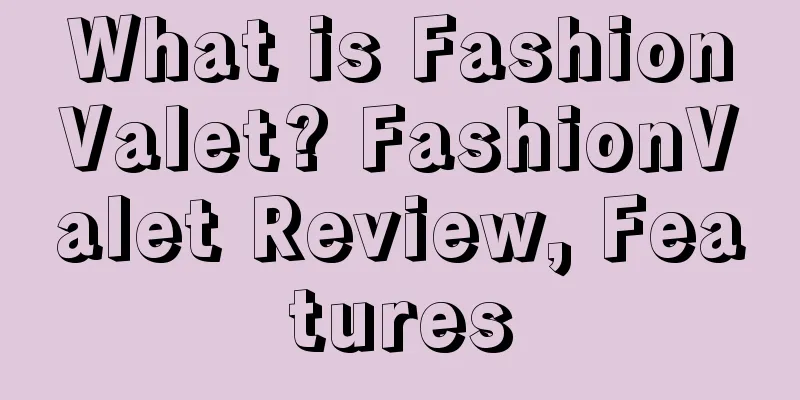 What is FashionValet? FashionValet Review, Features