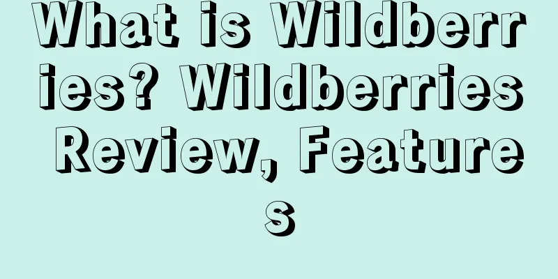 What is Wildberries? Wildberries Review, Features