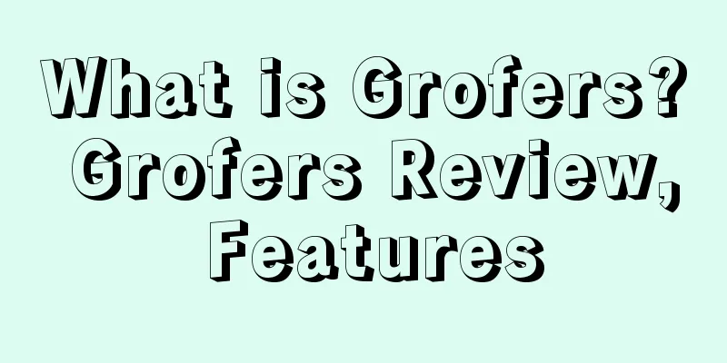 What is Grofers? Grofers Review, Features