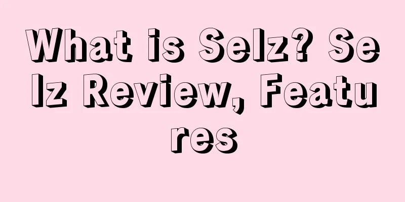 What is Selz? Selz Review, Features