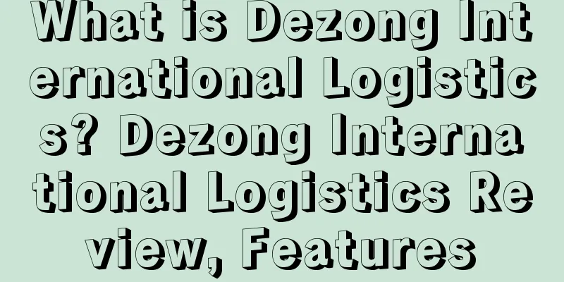 What is Dezong International Logistics? Dezong International Logistics Review, Features