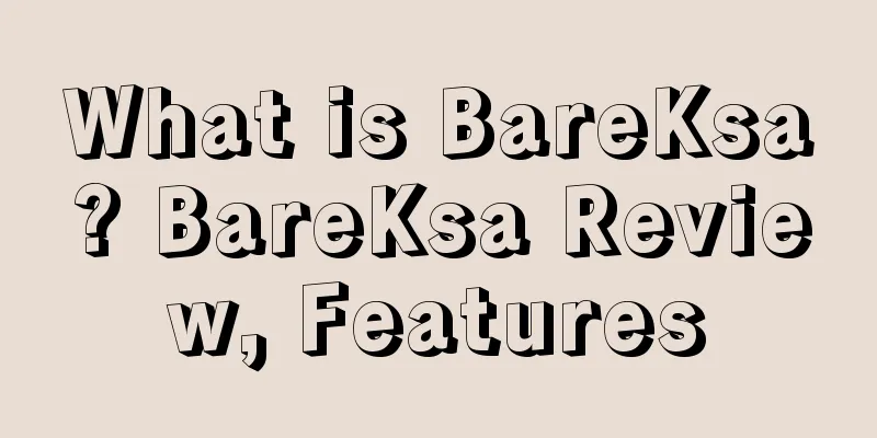 What is BareKsa? BareKsa Review, Features