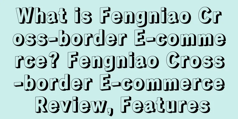 What is Fengniao Cross-border E-commerce? Fengniao Cross-border E-commerce Review, Features