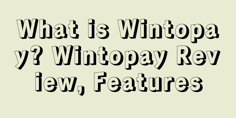 What is Wintopay? Wintopay Review, Features