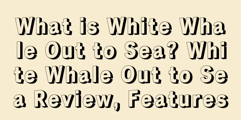 What is White Whale Out to Sea? White Whale Out to Sea Review, Features
