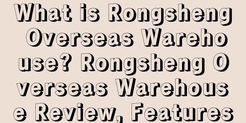 What is Rongsheng Overseas Warehouse? Rongsheng Overseas Warehouse Review, Features