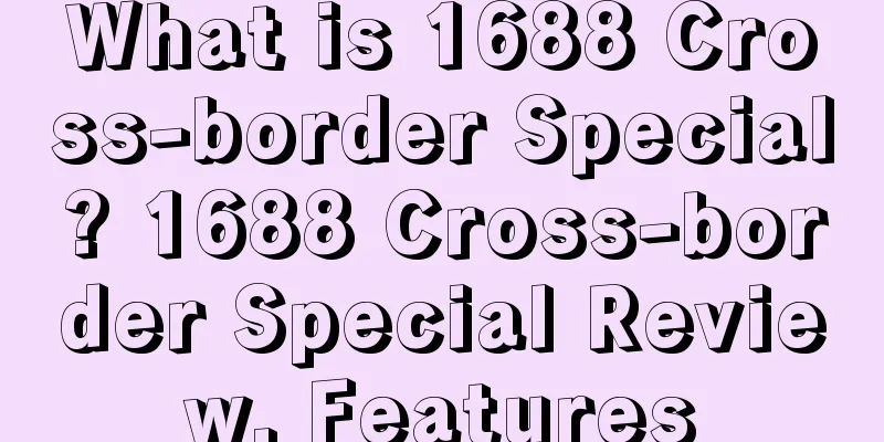 What is 1688 Cross-border Special? 1688 Cross-border Special Review, Features
