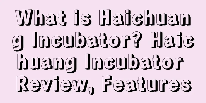 What is Haichuang Incubator? Haichuang Incubator Review, Features