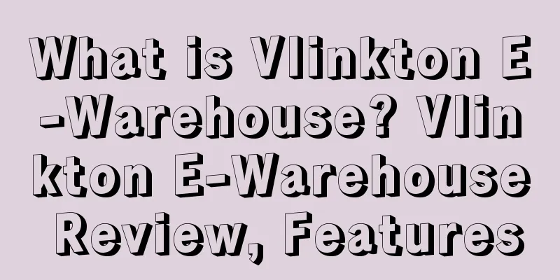 What is Vlinkton E-Warehouse? Vlinkton E-Warehouse Review, Features