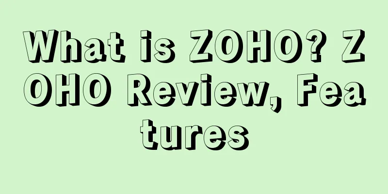What is ZOHO? ZOHO Review, Features