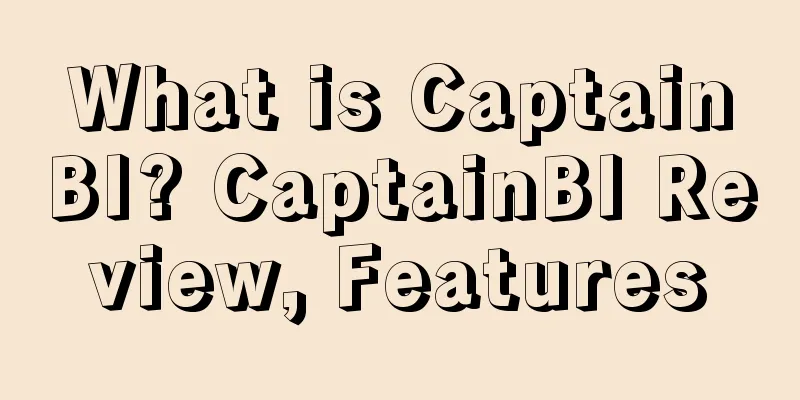 What is CaptainBI? CaptainBI Review, Features