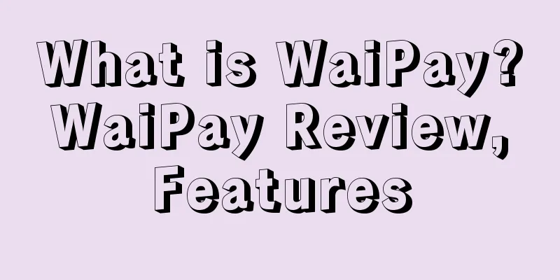 What is WaiPay? WaiPay Review, Features