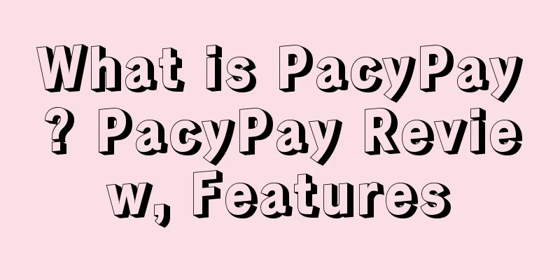 What is PacyPay? PacyPay Review, Features