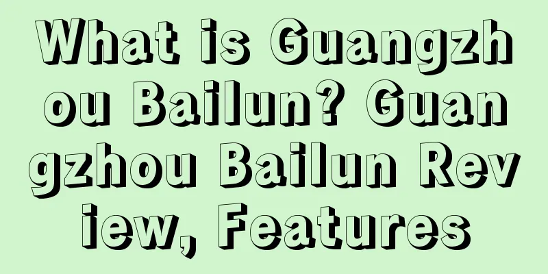 What is Guangzhou Bailun? Guangzhou Bailun Review, Features