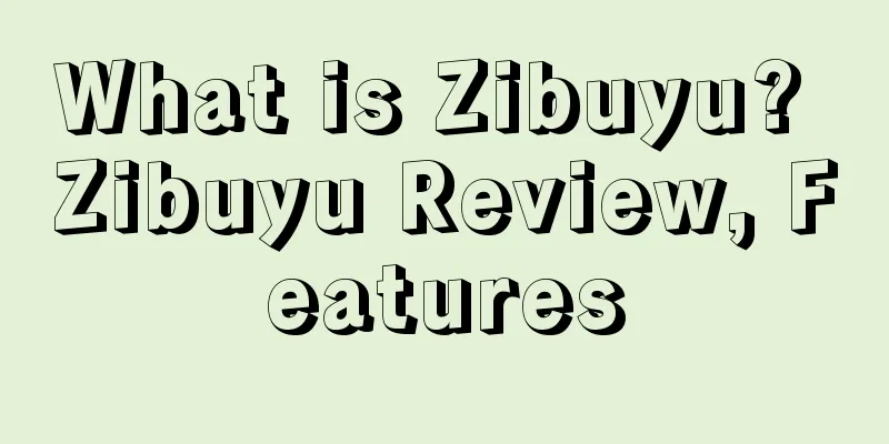 What is Zibuyu? Zibuyu Review, Features