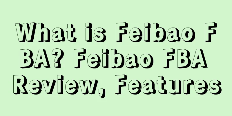 What is Feibao FBA? Feibao FBA Review, Features