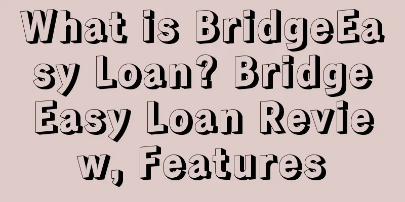 What is BridgeEasy Loan? BridgeEasy Loan Review, Features