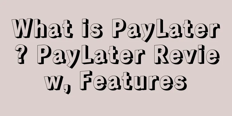 What is PayLater? PayLater Review, Features