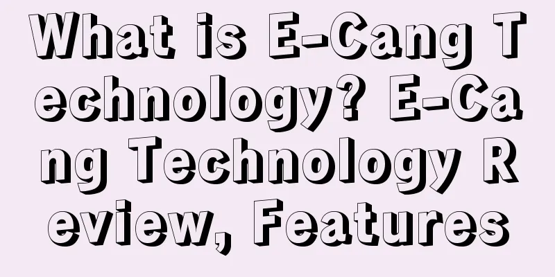 What is E-Cang Technology? E-Cang Technology Review, Features