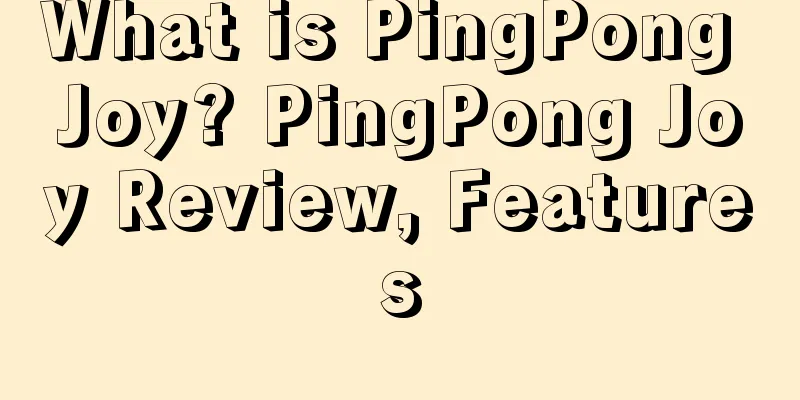 What is PingPong Joy? PingPong Joy Review, Features