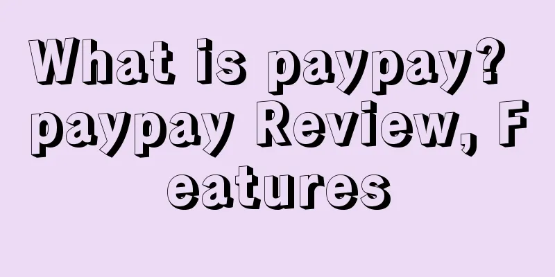 What is paypay? paypay Review, Features