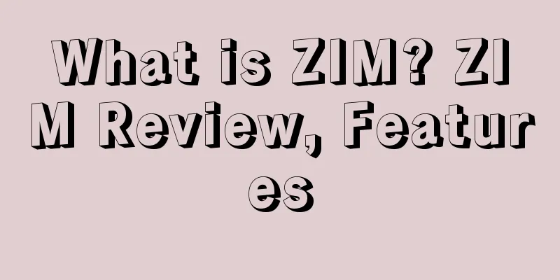 What is ZIM? ZIM Review, Features