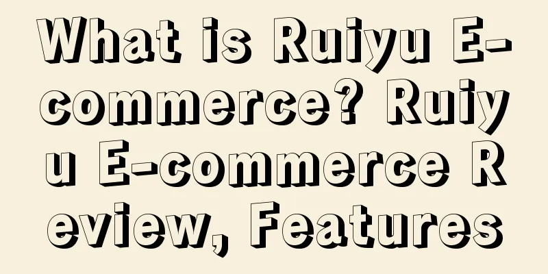 What is Ruiyu E-commerce? Ruiyu E-commerce Review, Features