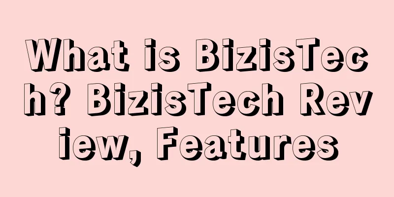 What is BizisTech? BizisTech Review, Features