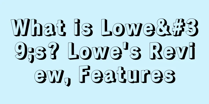 What is Lowe's? Lowe's Review, Features