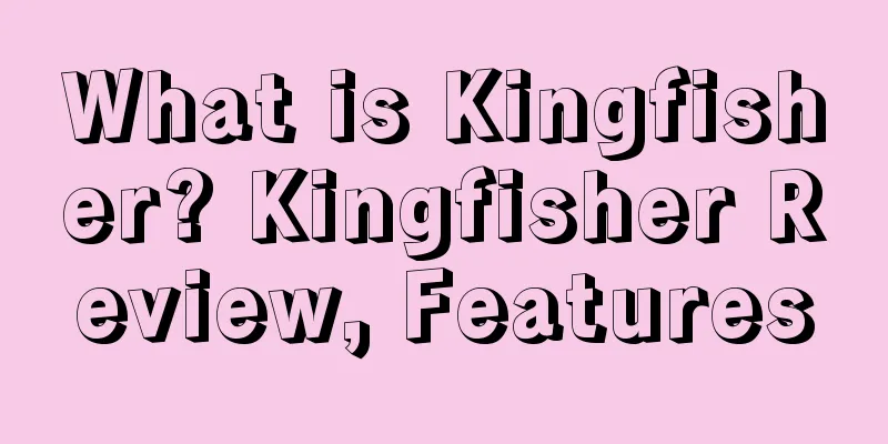 What is Kingfisher? Kingfisher Review, Features