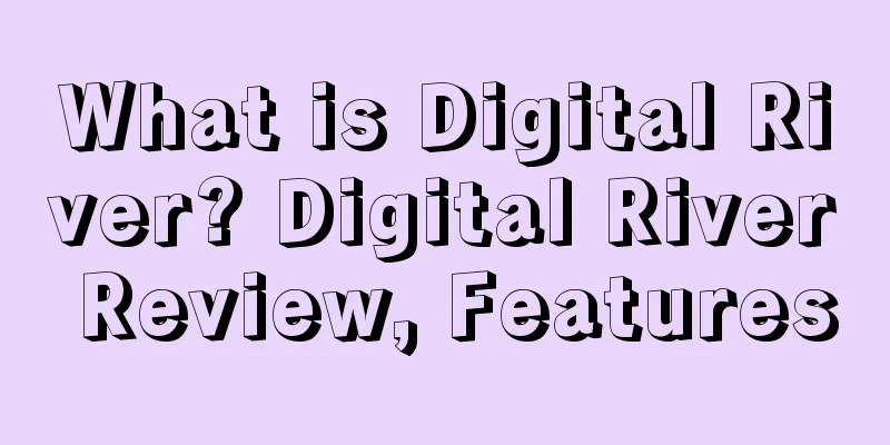 What is Digital River? Digital River Review, Features