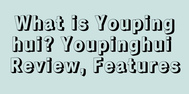 What is Youpinghui? Youpinghui Review, Features
