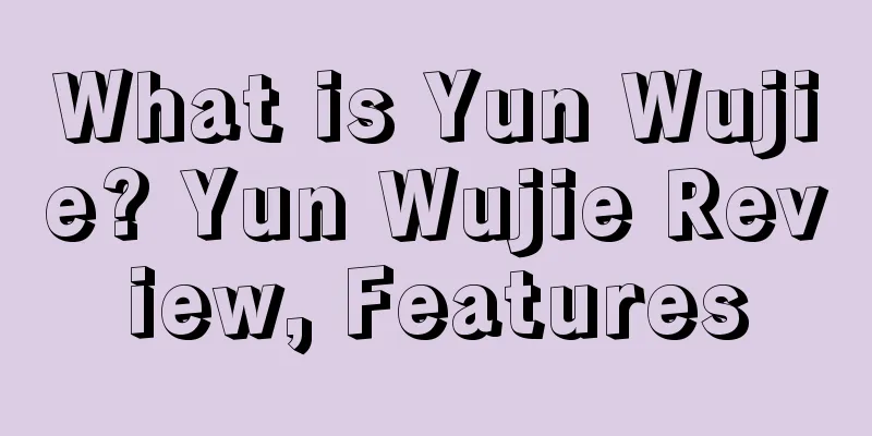What is Yun Wujie? Yun Wujie Review, Features