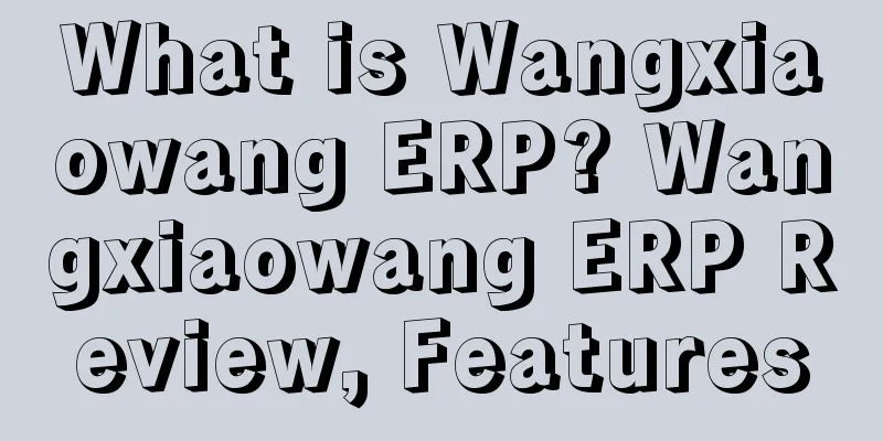 What is Wangxiaowang ERP? Wangxiaowang ERP Review, Features