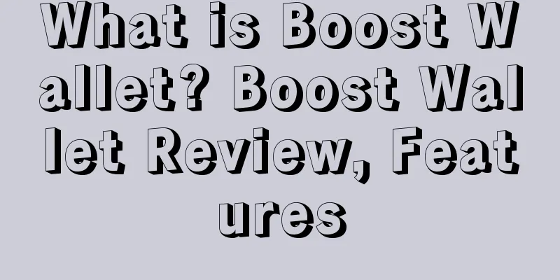 What is Boost Wallet? Boost Wallet Review, Features