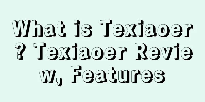 What is Texiaoer? Texiaoer Review, Features