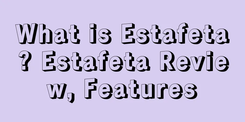 What is Estafeta? Estafeta Review, Features