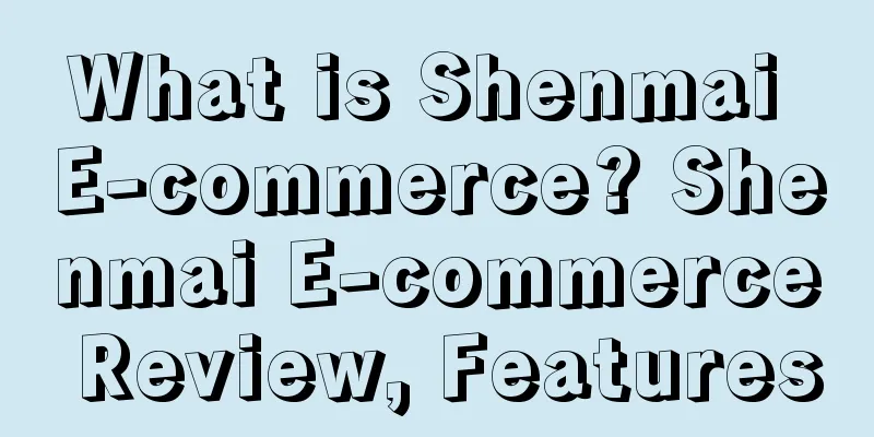 What is Shenmai E-commerce? Shenmai E-commerce Review, Features