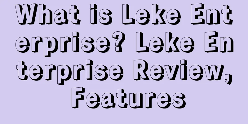 What is Leke Enterprise? Leke Enterprise Review, Features