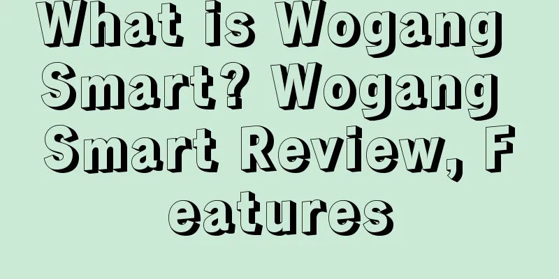What is Wogang Smart? Wogang Smart Review, Features