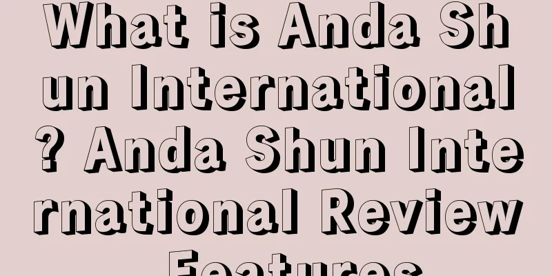 What is Anda Shun International? Anda Shun International Review, Features